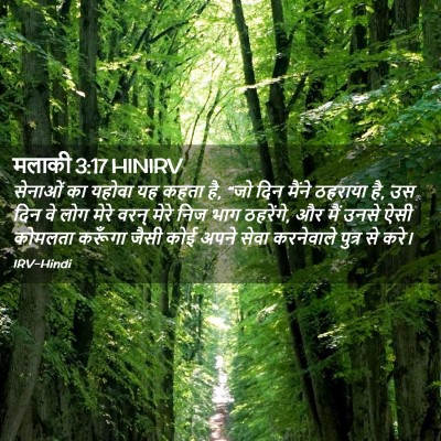 Picture 02 - मलाकी 3:17 HINIRV - सेनाओं का यहोवा यह - Bible Verse Picture