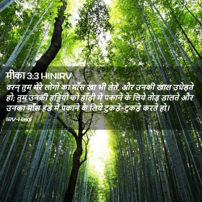 Picture 02 - मीका 3:3 HINIRV - वरन् तुम मेरे - Bible Verse Picture