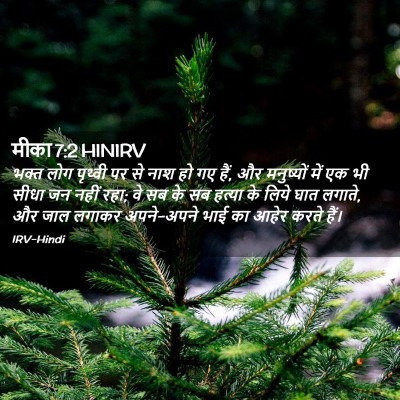 Picture 02 - मीका 7:2 HINIRV - भक्त लोग पृथ्वी पर - Bible Verse Picture