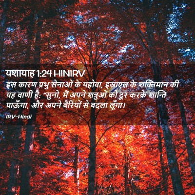 Picture 02 - यशायाह 1:24 HINIRV - इस कारण प्रभु - Bible Verse Picture