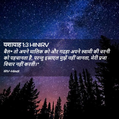 Picture 02 - यशायाह 1:3 HINIRV - बैल* तो अपने मालिक - Bible Verse Picture