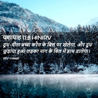 Picture 02 - यशायाह 11:8 HINIRV - दूध-पीता बच्चा - Bible Verse Picture