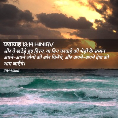 Picture 02 - यशायाह 13:14 HINIRV - और वे खदेड़े हुए - Bible Verse Picture