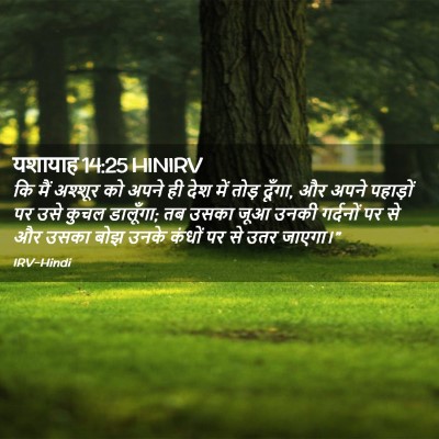 Picture 02 - यशायाह 14:25 HINIRV - कि मैं अश्शूर को - Bible Verse Picture