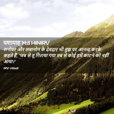 Picture 02 - यशायाह 14:8 HINIRV - सनोवर और लबानोन के - Bible Verse Picture