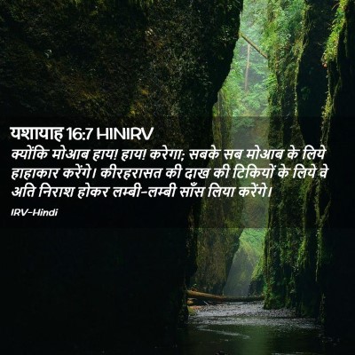 Picture 02 - यशायाह 16:7 HINIRV - क्योंकि मोआब हाय! - Bible Verse Picture
