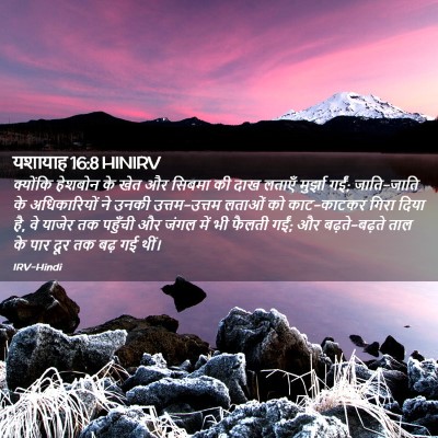 Picture 02 - यशायाह 16:8 HINIRV - क्योंकि हेशबोन के - Bible Verse Picture