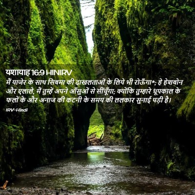 Picture 02 - यशायाह 16:9 HINIRV - मैं याजेर के साथ - Bible Verse Picture