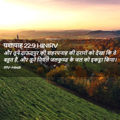 Picture 02 - यशायाह 22:9 HINIRV - और तूने दाऊदपुर की - Bible Verse Picture
