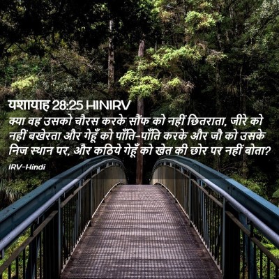 Picture 02 - यशायाह 28:25 HINIRV - क्या वह उसको चौरस - Bible Verse Picture