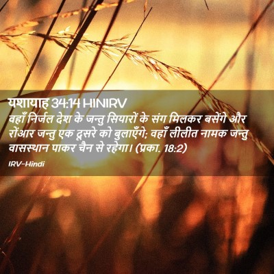 Picture 02 - यशायाह 34:14 HINIRV - वहाँ निर्जल देश के - Bible Verse Picture