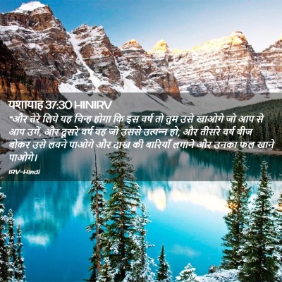Picture 02 - यशायाह 37:30 HINIRV - “और तेरे लिये यह - Bible Verse Picture