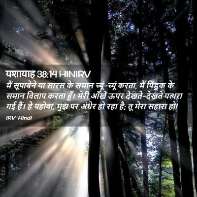 Picture 02 - यशायाह 38:14 HINIRV - मैं सूपाबेने या - Bible Verse Picture