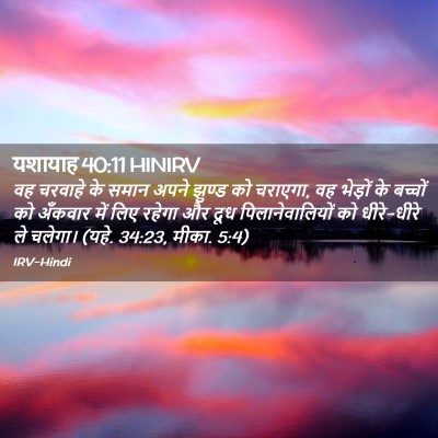 Picture 02 - यशायाह 40:11 HINIRV - वह चरवाहे के समान - Bible Verse Picture