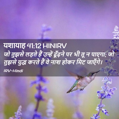 Picture 02 - यशायाह 41:12 HINIRV - जो तुझसे लड़ते हैं - Bible Verse Picture