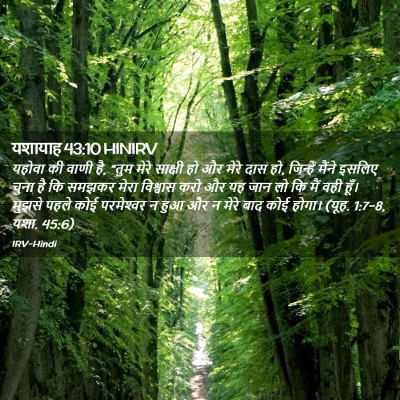 Picture 02 - यशायाह 43:10 HINIRV - यहोवा की वाणी है, - Bible Verse Picture