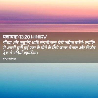 Picture 02 - यशायाह 43:20 HINIRV - गीदड़ और - Bible Verse Picture