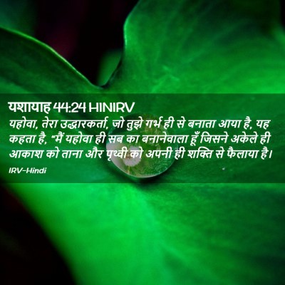 Picture 02 - यशायाह 44:24 HINIRV - यहोवा, तेरा - Bible Verse Picture