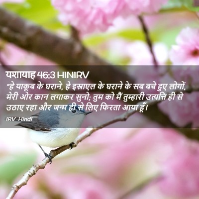 Picture 02 - यशायाह 46:3 HINIRV - “हे याकूब के घराने, - Bible Verse Picture