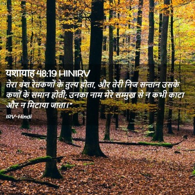 Picture 02 - यशायाह 48:19 HINIRV - तेरा वंश रेतकणों - Bible Verse Picture