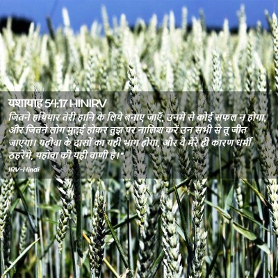 Picture 02 - यशायाह 54:17 HINIRV - जितने हथियार तेरी - Bible Verse Picture