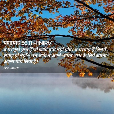 Picture 02 - यशायाह 56:11 HINIRV - वे मरभूखे कुत्ते - Bible Verse Picture