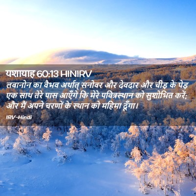 Picture 02 - यशायाह 60:13 HINIRV - लबानोन का वैभव - Bible Verse Picture