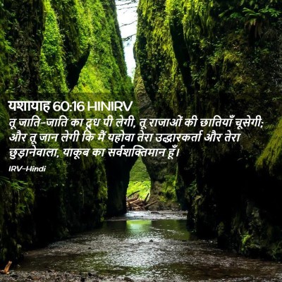 Picture 02 - यशायाह 60:16 HINIRV - तू जाति-जाति का दूध - Bible Verse Picture