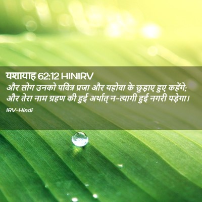 Picture 02 - यशायाह 62:12 HINIRV - और लोग उनको पवित्र - Bible Verse Picture