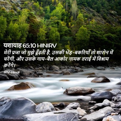 Picture 02 - यशायाह 65:10 HINIRV - मेरी प्रजा जो मुझे - Bible Verse Picture
