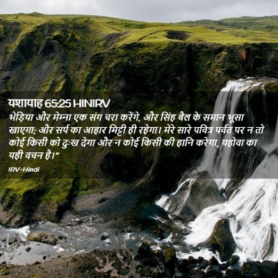 Picture 02 - यशायाह 65:25 HINIRV - भेड़िया और - Bible Verse Picture