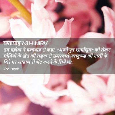 Picture 02 - यशायाह 7:3 HINIRV - तब यहोवा ने यशायाह - Bible Verse Picture