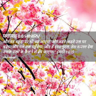 Picture 02 - यशायाह 8:8 HINIRV - और वह यहूदा पर भी - Bible Verse Picture
