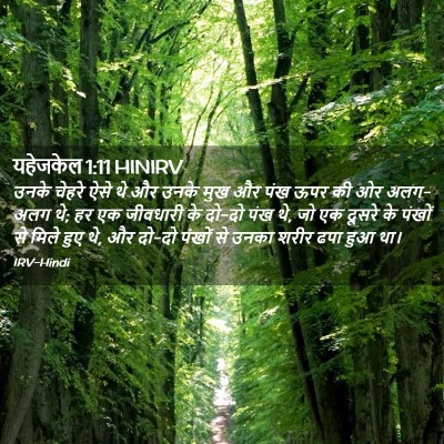 Picture 02 - यहेजकेल 1:11 HINIRV - उनके चेहरे ऐसे थे - Bible Verse Picture