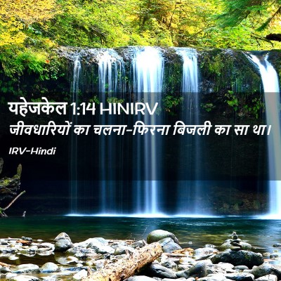 Picture 02 - यहेजकेल 1:14 HINIRV - जीवधारियों का - Bible Verse Picture