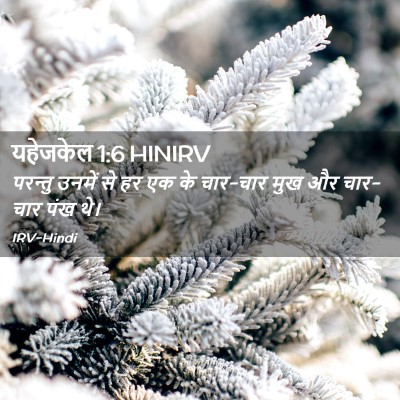 Picture 02 - यहेजकेल 1:6 HINIRV - परन्तु उनमें से हर - Bible Verse Picture