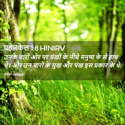 Picture 02 - यहेजकेल 1:8 HINIRV - उनके चारों ओर पर - Bible Verse Picture