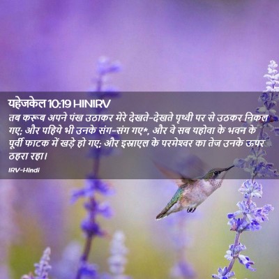 Picture 02 - यहेजकेल 10:19 HINIRV - तब करूब अपने पंख - Bible Verse Picture