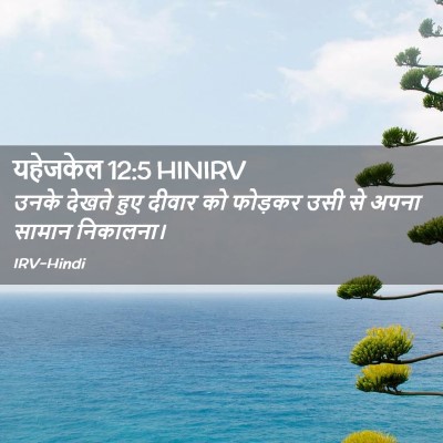 Picture 02 - यहेजकेल 12:5 HINIRV - उनके देखते हुए - Bible Verse Picture