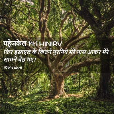 Picture 02 - यहेजकेल 14:1 HINIRV - फिर इस्राएल के - Bible Verse Picture