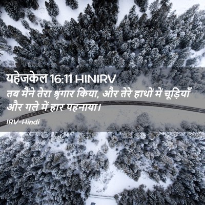 Picture 02 - यहेजकेल 16:11 HINIRV - तब मैंने तेरा - Bible Verse Picture