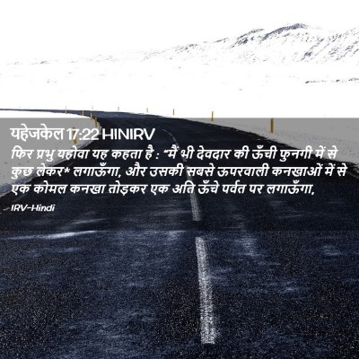 Picture 02 - यहेजकेल 17:22 HINIRV - फिर प्रभु यहोवा यह - Bible Verse Picture