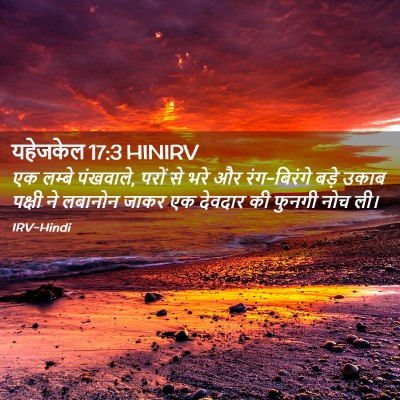 Picture 02 - यहेजकेल 17:3 HINIRV - एक लम्बे पंखवाले, - Bible Verse Picture