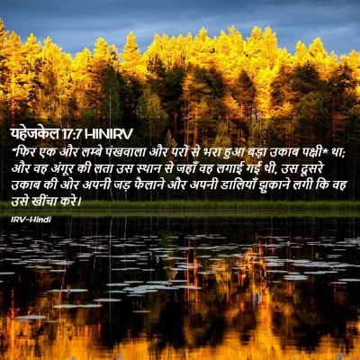 Picture 02 - यहेजकेल 17:7 HINIRV - “फिर एक और लम्बे - Bible Verse Picture