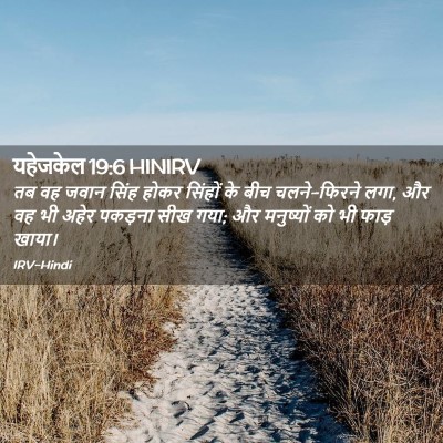 Picture 02 - यहेजकेल 19:6 HINIRV - तब वह जवान सिंह - Bible Verse Picture