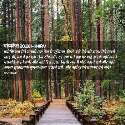 Picture 02 - यहेजकेल 20:28 HINIRV - क्योंकि जब मैंने - Bible Verse Picture