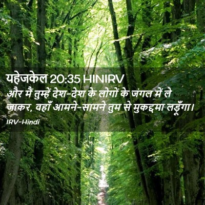 Picture 02 - यहेजकेल 20:35 HINIRV - और मैं तुम्हें - Bible Verse Picture