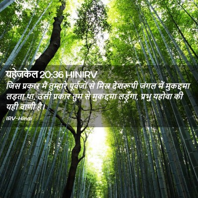 Picture 02 - यहेजकेल 20:36 HINIRV - जिस प्रकार मैं - Bible Verse Picture