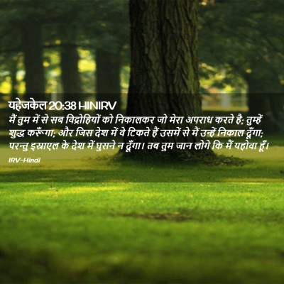 Picture 02 - यहेजकेल 20:38 HINIRV - मैं तुम में से सब - Bible Verse Picture