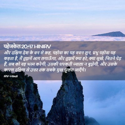 Picture 02 - यहेजकेल 20:47 HINIRV - और दक्षिण देश के वन - Bible Verse Picture
